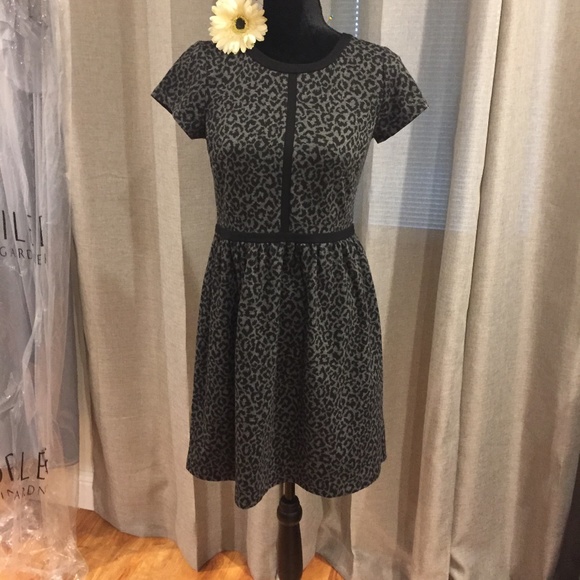 LOFT Dresses & Skirts - Loft dress